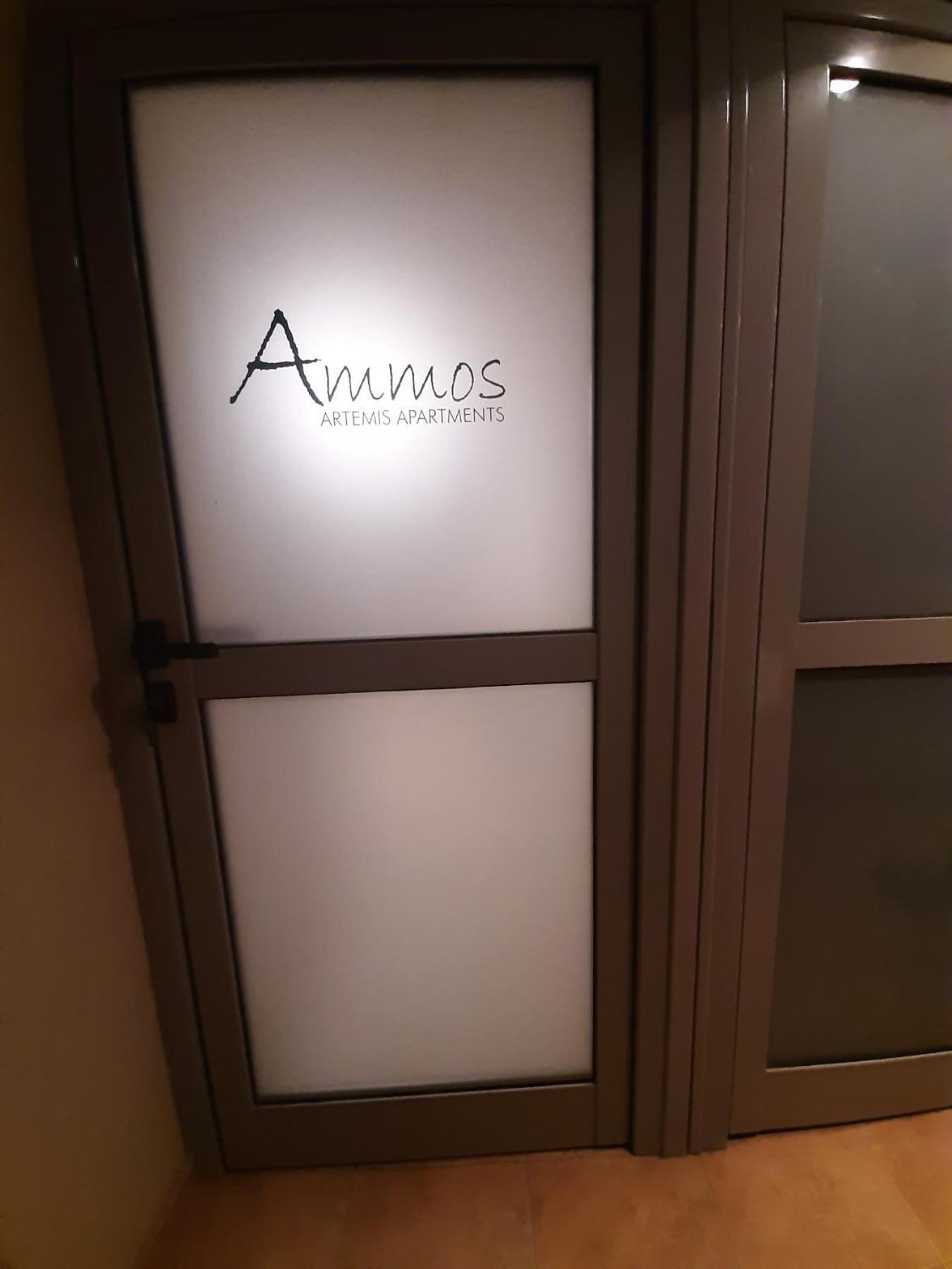 Ammos Artemis Apartments エクステリア 写真
